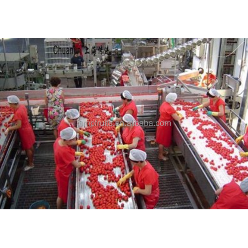 Machine de remplissage des fruits en conserve et d&#39;emballage d&#39;étanchéité